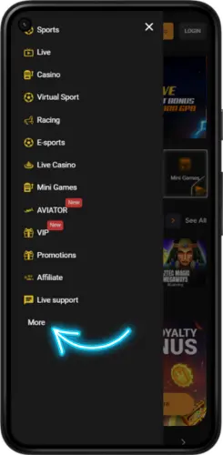 FreshBet Android app menu showing the More section before accessing the APK download option