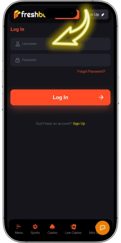 Fill in the login and password fields.