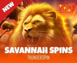 savannah spins